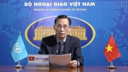Việt Nam coi trọng hợp tác quốc tế và khu vực trong phòng ngừa tội phạm có tổ chức xuyên quốc gia