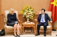 Phó Thủ tướng Trịnh Đình Dũng tiếp Đại sứ Ireland tại Việt Nam