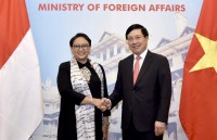 Phó Thủ tướng Phạm Bình Minh tiếp Bộ trưởng Ngoại giao Indonesia