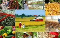 Bộ Tiêu chí giám sát, đánh giá về cơ cấu lại ngành nông nghiệp
