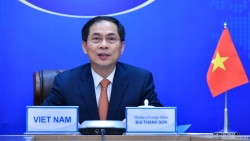 Bộ trưởng Ngoại giao Bùi Thanh Sơn làm Tổ trưởng Tổ công tác của Chính phủ về ngoại giao vaccine