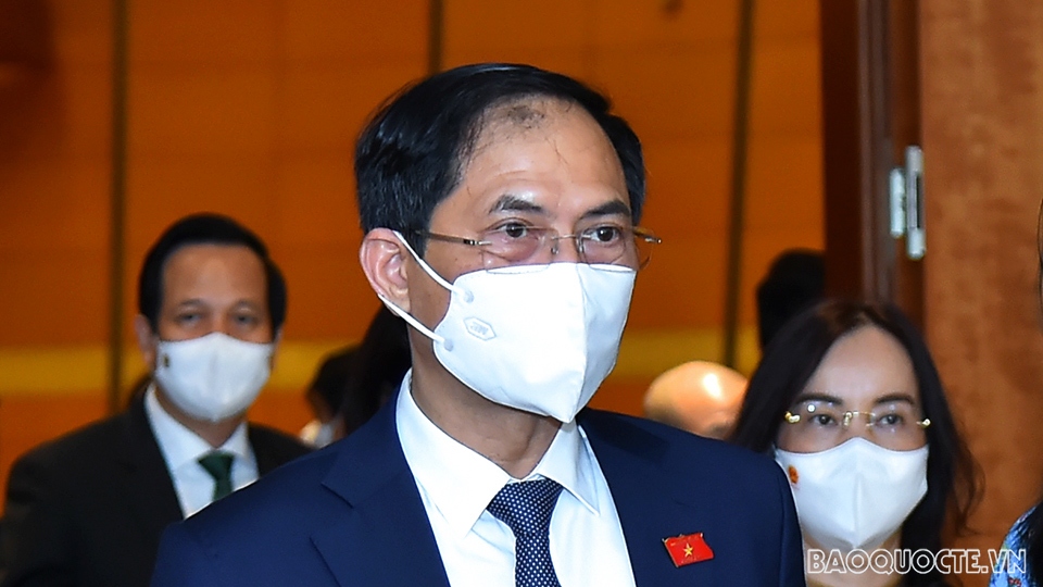 Đại biểu Quốc hội Bùi Thanh Sơn: Ngoại giao vaccine được triển khai từ cấp cao nhất, tiếp cận cả song phương và thông qua cơ chế COVAX