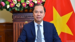 Thứ trưởng Ngoại giao Nguyễn Quốc Dũng điện đàm với Phó Trợ lý Tổng thống và Trợ lý Ngoại trưởng Hoa Kỳ