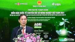 Bộ Ngoại giao tiên phong, đồng hành với địa phương, doanh nghiệp và người dân trong chuyển đổi số nông nghiệp