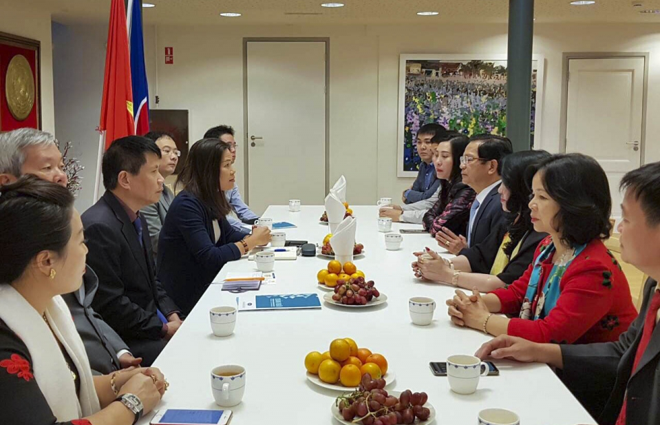 Quảng Ngãi tìm hiểu quản lý cảng biển tại Hà Lan