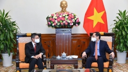Bộ trưởng Bùi Thanh Sơn đề nghị Việt Nam-Indonesia tiến tới công nhận lẫn nhau về Hộ chiếu vaccine