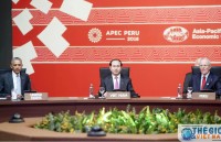 Chủ tịch nước dự Phiên họp toàn thể thứ hai Hội nghị Cấp cao APEC 24