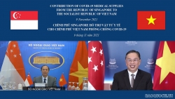 Đại sứ Singapore: Ngoại giao Việt Nam 'nổi trội' trong phòng chống dịch Covid-19