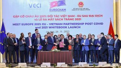 Gặp gỡ châu Âu 2021: Đối tác Việt Nam-EU hậu Covid-19