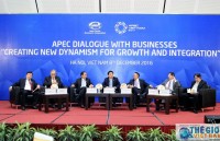 Đối thoại APEC với doanh nghiệp - tìm cơ hội cho doanh nghiệp trong năm 2017