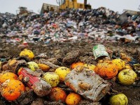 Người Italy ném 13 tỷ Euro vào sọt rác mỗi năm