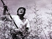 Công chiếu phim Việt Nam trên truyền hình Ấn Độ