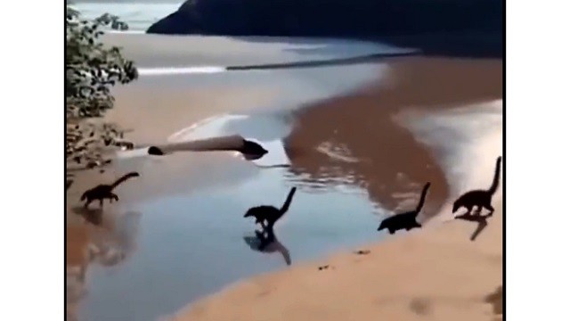 Sự thật về video đàn khủng long con chạy trên bãi biển
